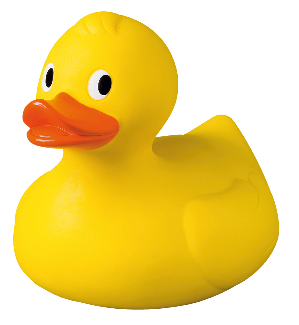 png of a rubber duck